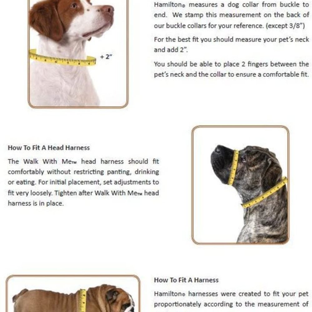 Hamilton 1"x6 FT Long Single Thick Nylon Dog Leash W/ LG Comfort Harness - Picture 11 of 11